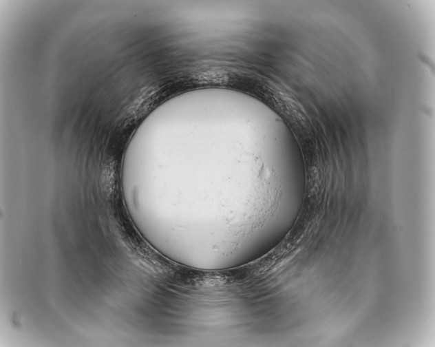 X0000095920600200802011214