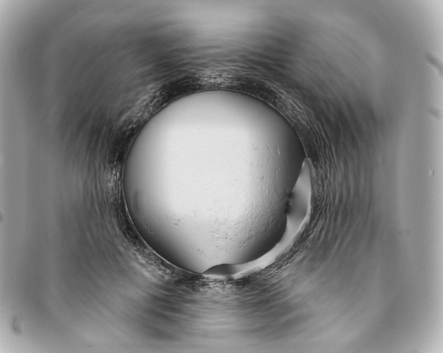 X0000095920601200802011214