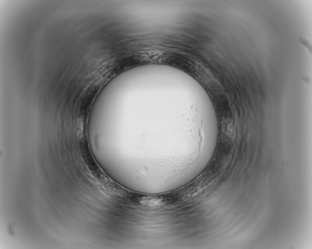 X0000095920602200802011214