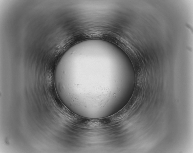 X0000095920604200802011214