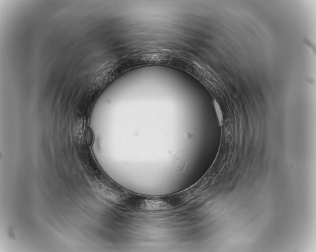 X0000095920605200802011214