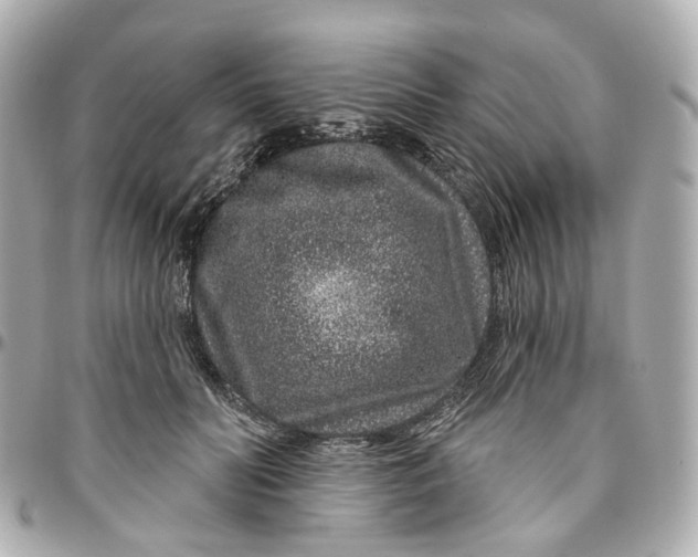 X0000095920606200802011214