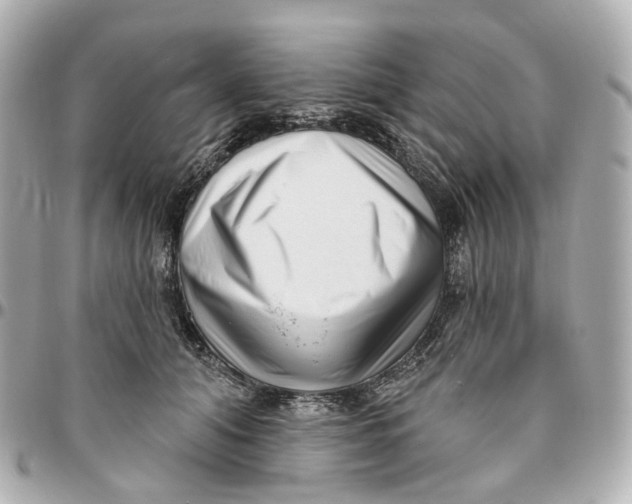 X0000095920608200802011214