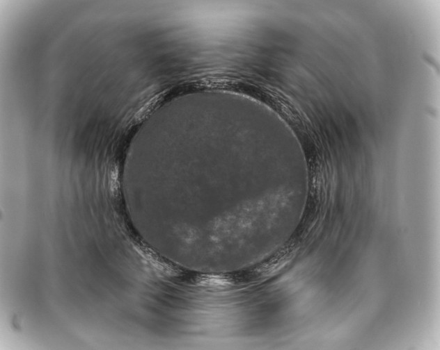 X0000095920610200802011214