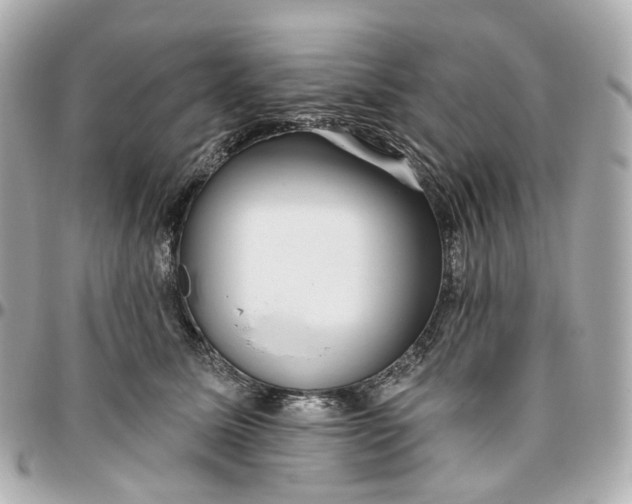 X0000095920611200802011214