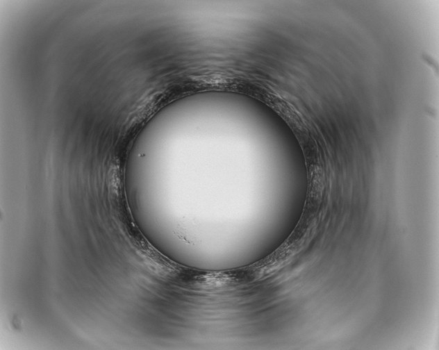 X0000095920612200802011214