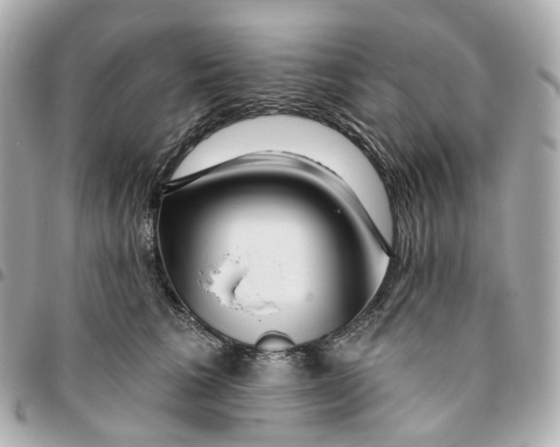 X0000095920613200802011214