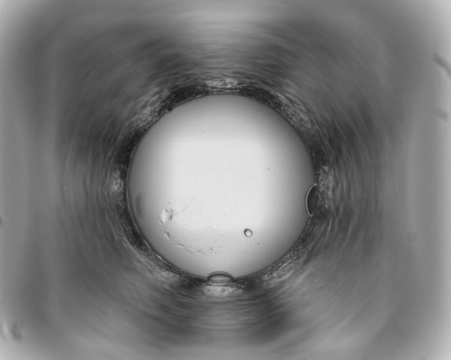 X0000095920614200802011214