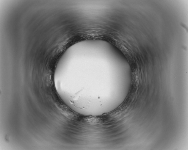 X0000095920615200802011214