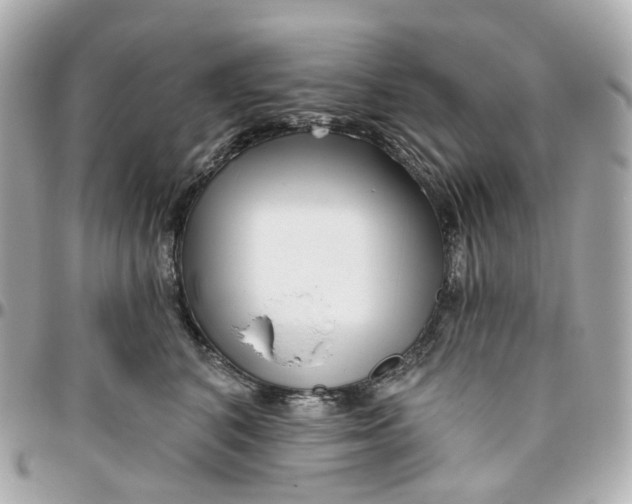 X0000095920616200802011214