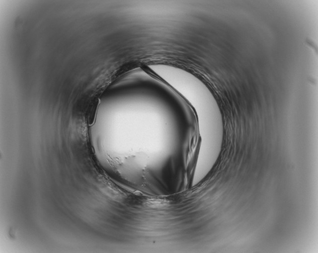 X0000095920617200802011214