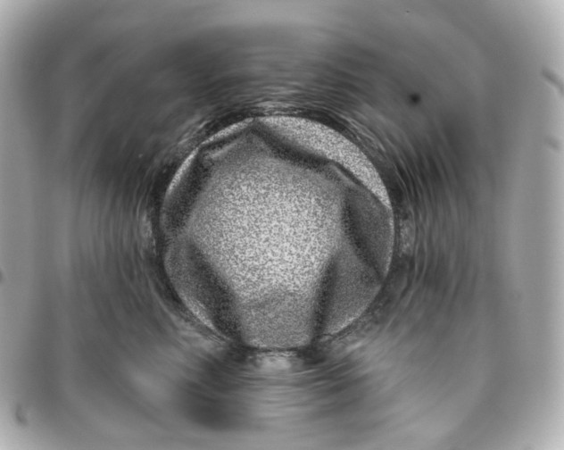 X0000095920618200802011214