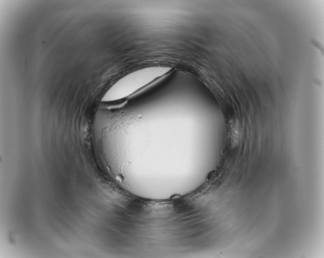 X0000095920619200802011214