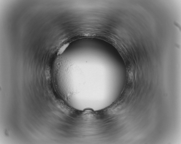 X0000095920620200802011214