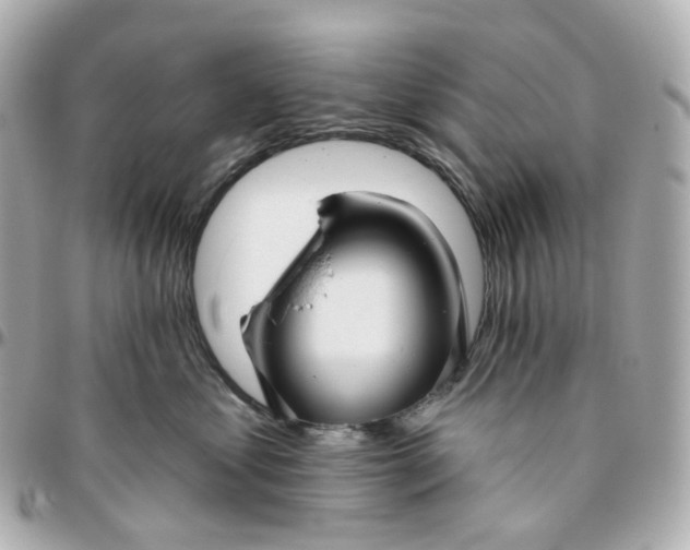 X0000095920621200802011214