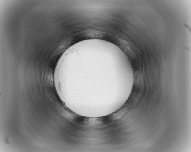 X0000095920622200802011214