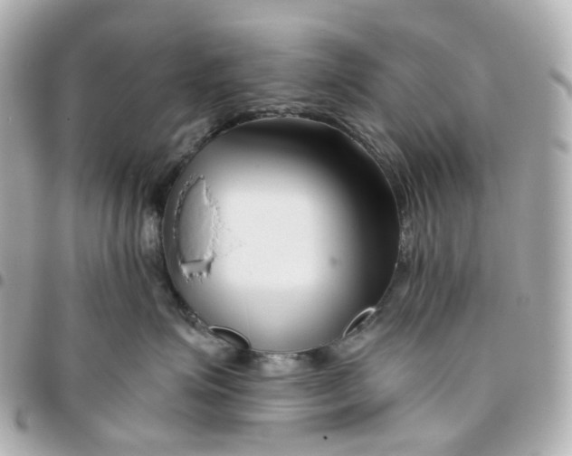 X0000095920623200802011214