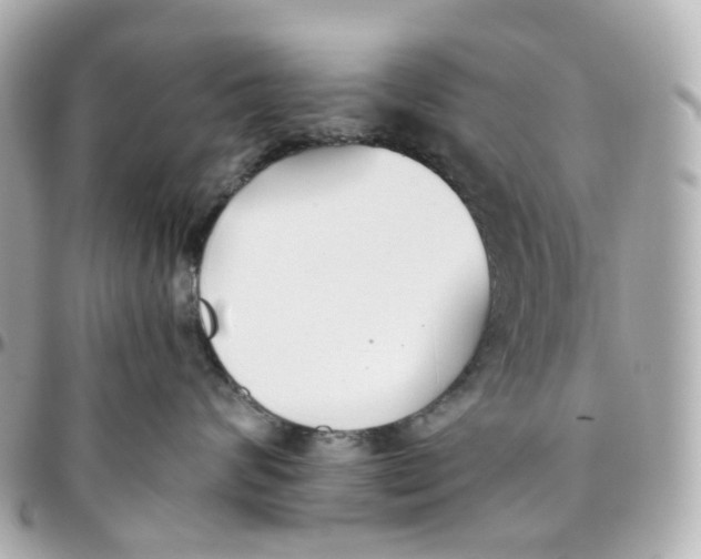 X0000095920624200802011214