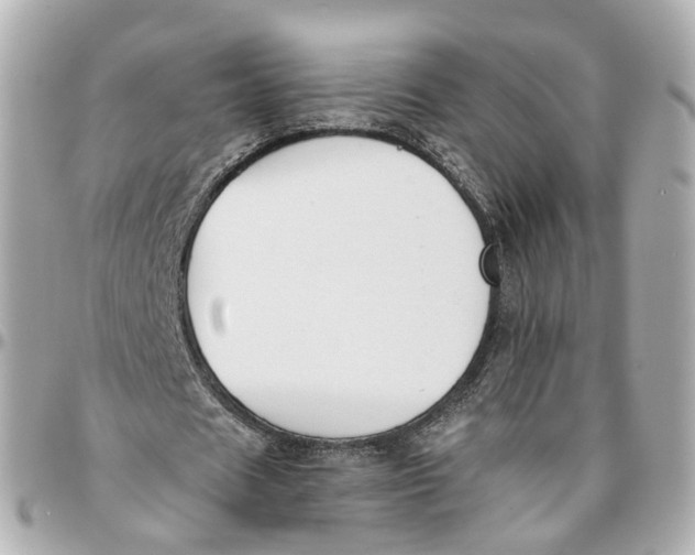 X0000095920625200802011213