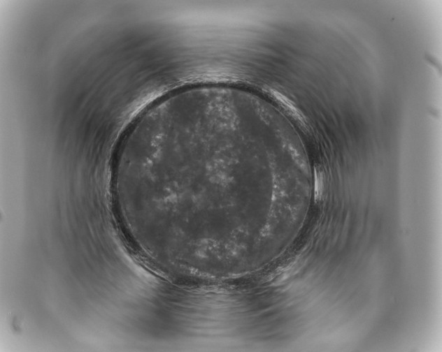 X0000095920627200802011213