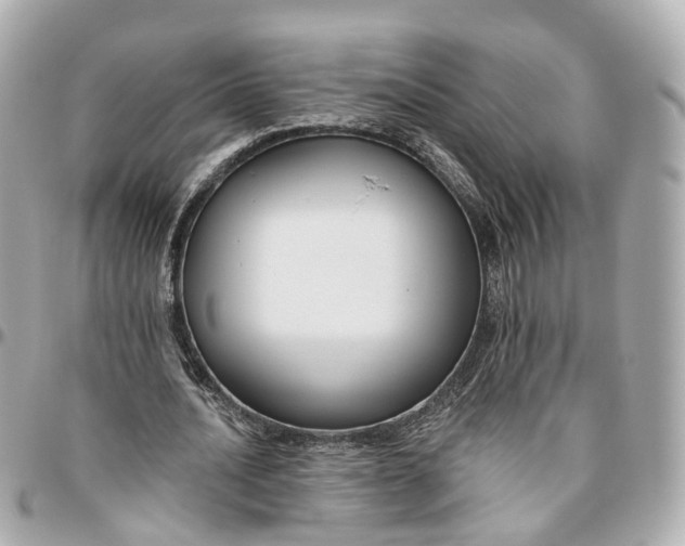 X0000095920628200802011213