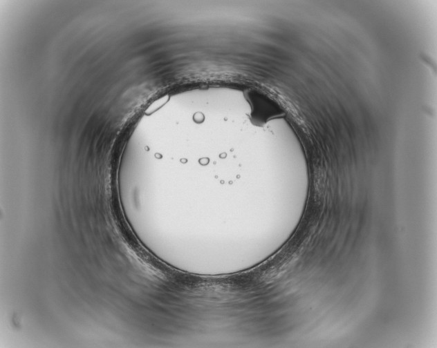 X0000095920629200802011213