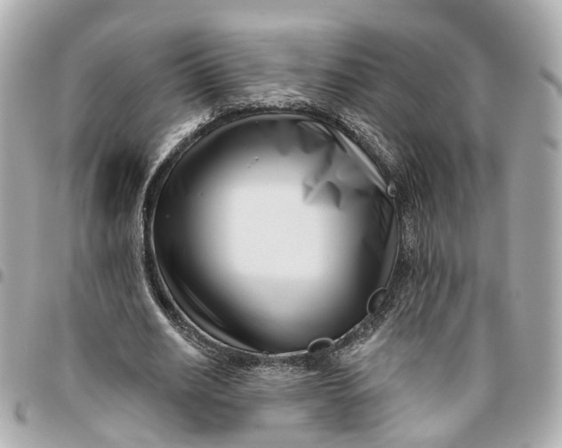 X0000095920630200802011213