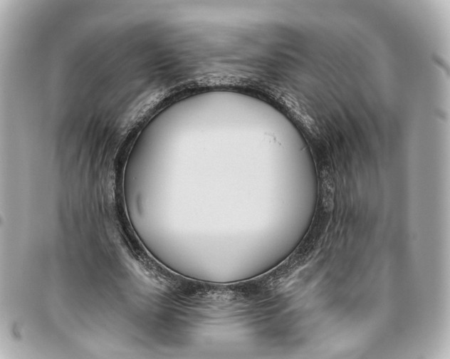 X0000095920631200802011213