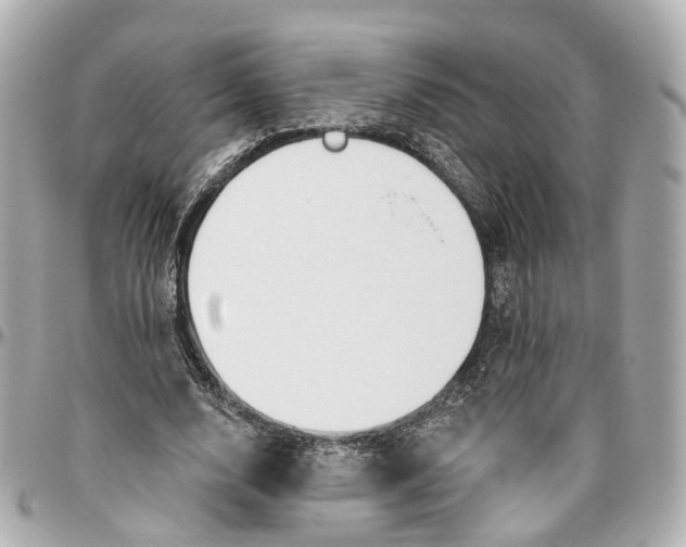 X0000095920632200802011213