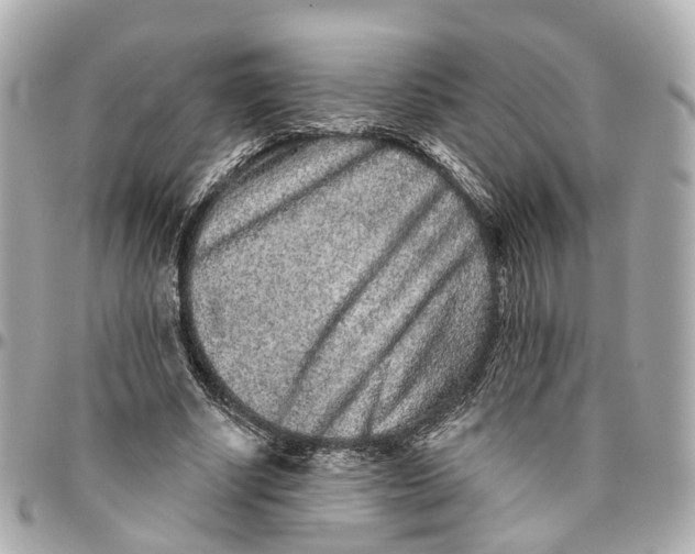 X0000095920634200802011213