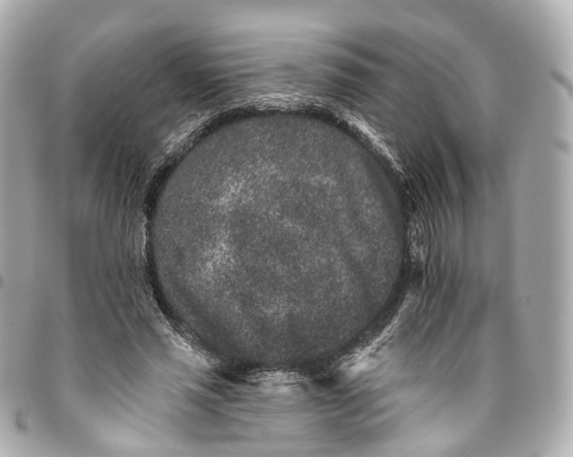 X0000095920637200802011213