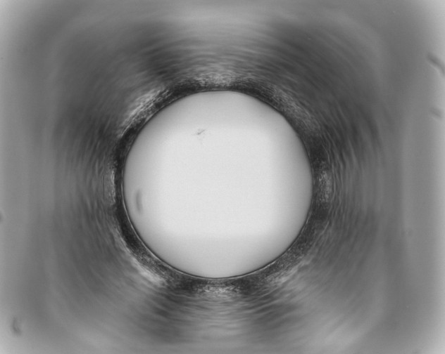 X0000095920638200802011213