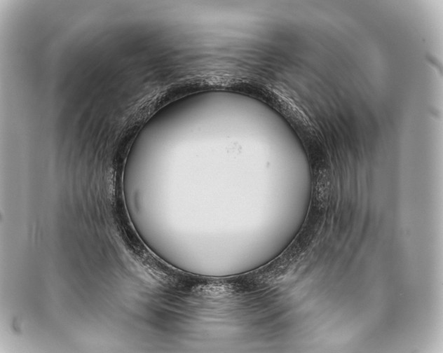 X0000095920639200802011213