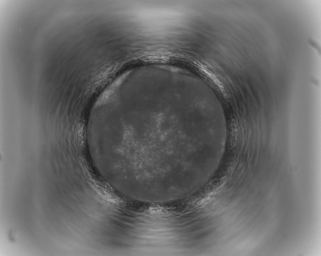 X0000095920641200802011213