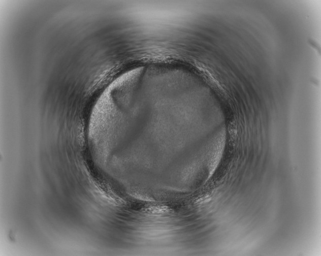 X0000095920642200802011213