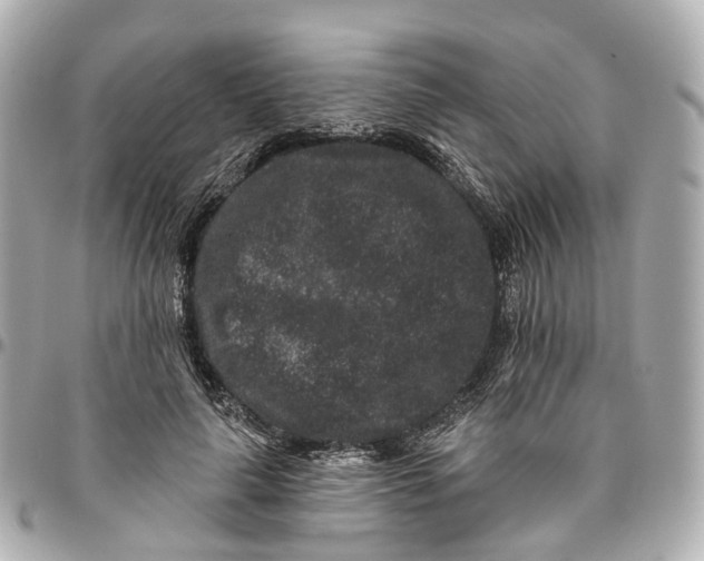 X0000095920643200802011213