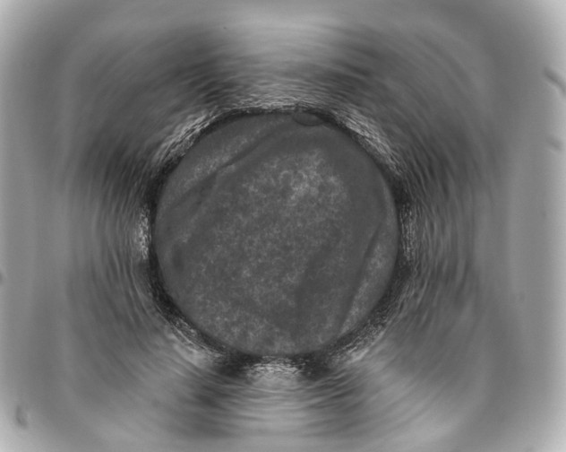 X0000095920644200802011213