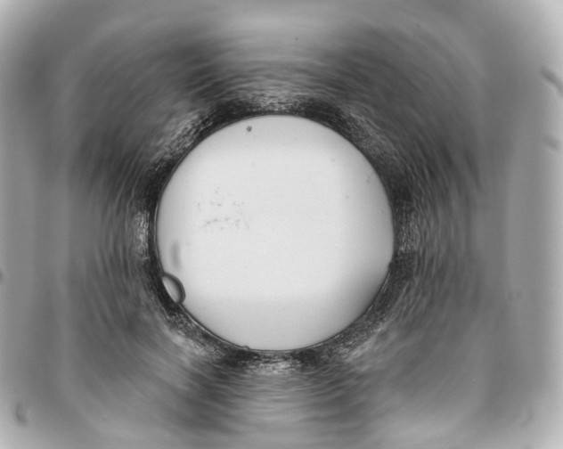 X0000095920646200802011213