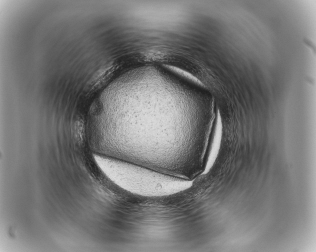 X0000095920648200802011214