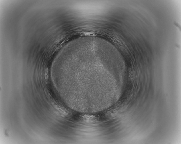 X0000095920650200802011214