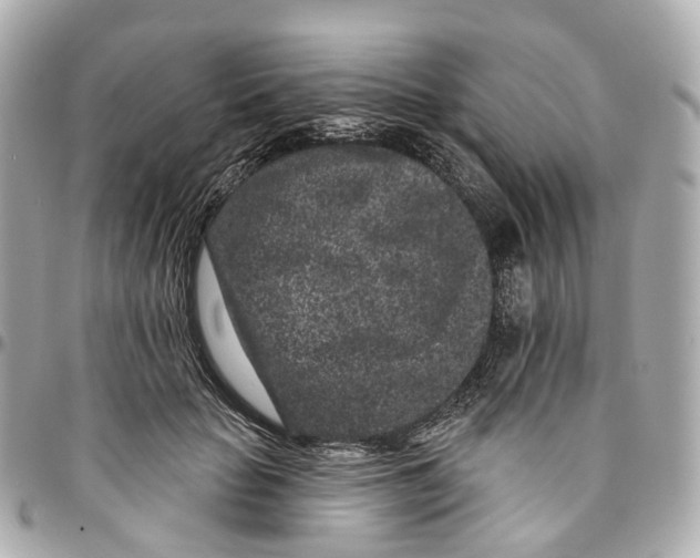 X0000095920653200802011214