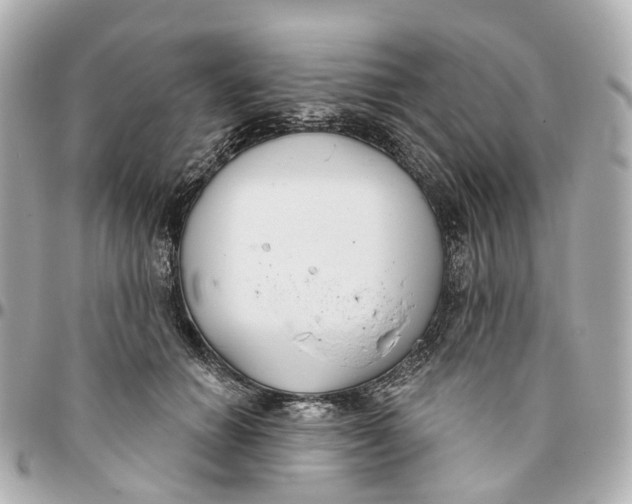 X0000095920654200802011214