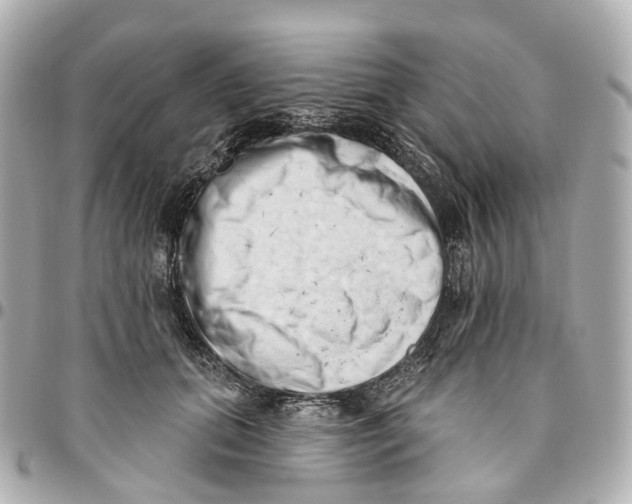 X0000095920655200802011214