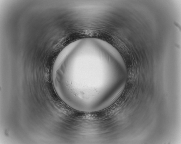 X0000095920656200802011214