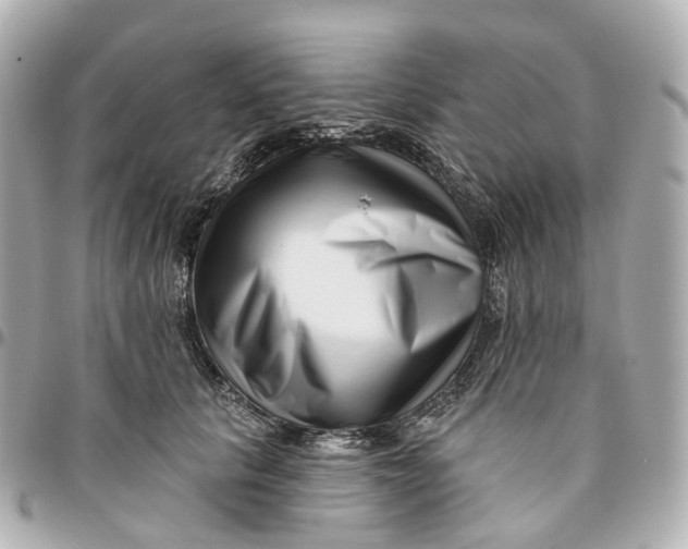 X0000095920657200802011214