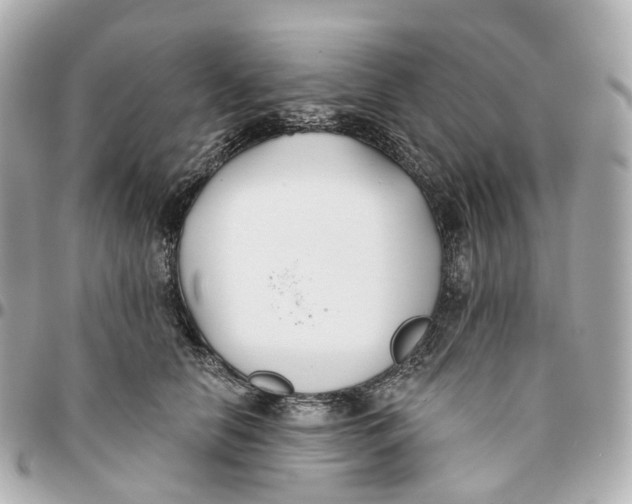 X0000095920658200802011214