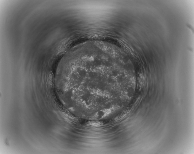 X0000095920659200802011214