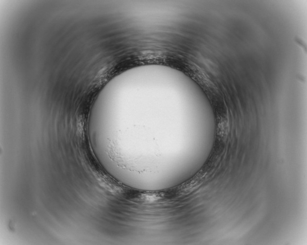 X0000095920662200802011214