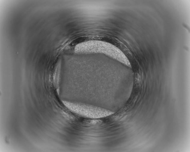 X0000095920663200802011214