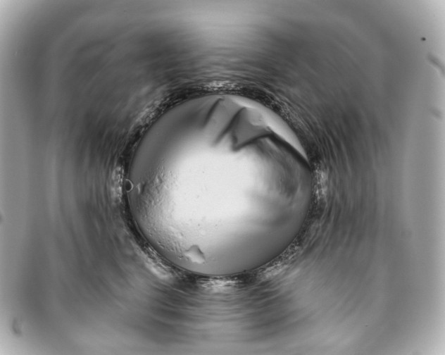 X0000095920664200802011214